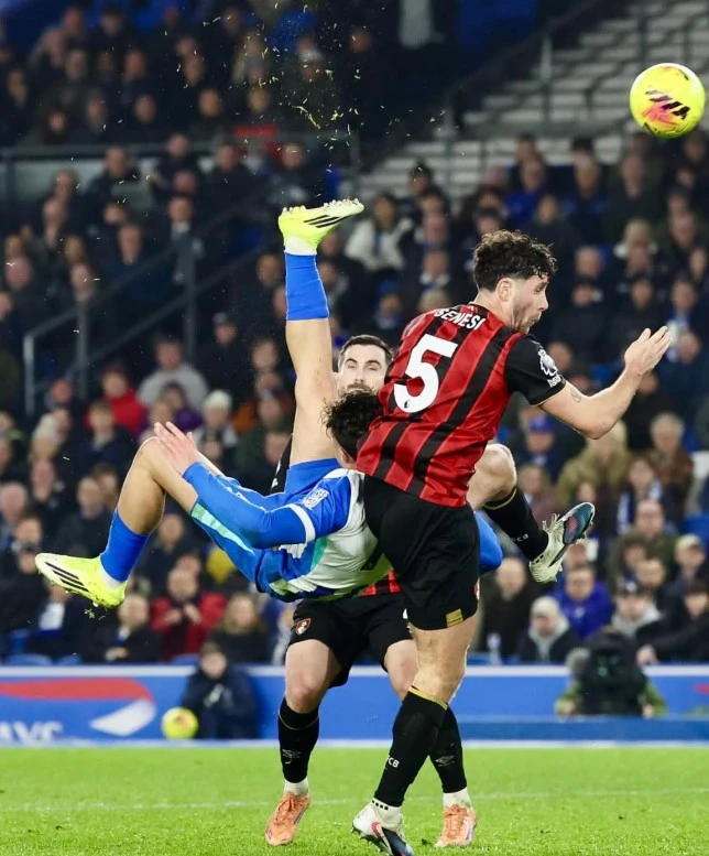 Read more about the article Brighton dan Bournemouth Bermain Imbang 1-1
